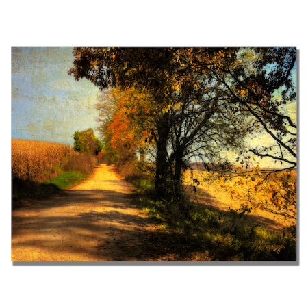 Lois Bryan 'Follow Your Road' Canvas Art,18x24